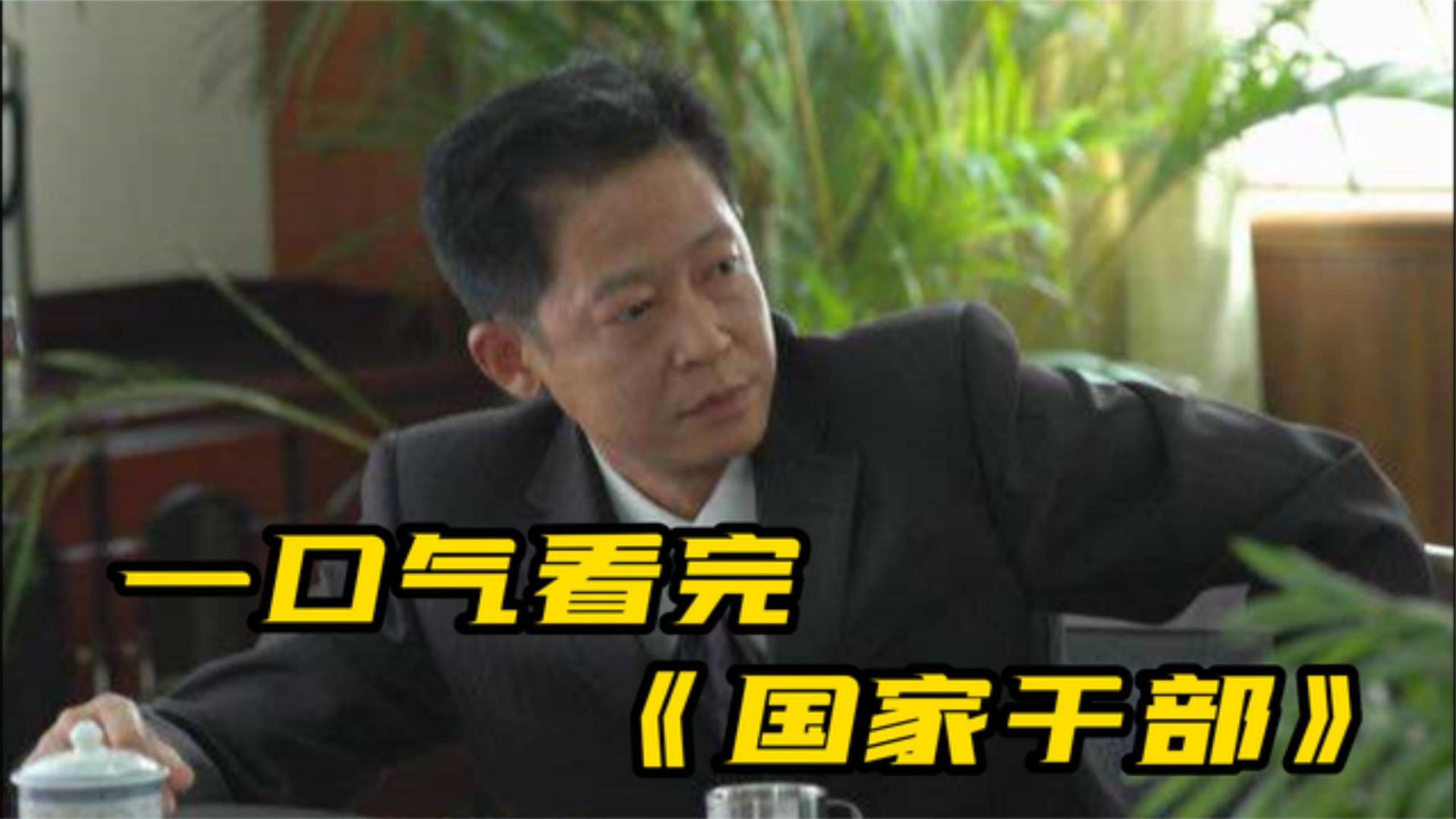 一口气看完国产反腐剧《国家干部》，王志文精湛演技！