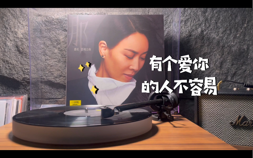 那英《有个爱你的人不容易》黑胶唱片