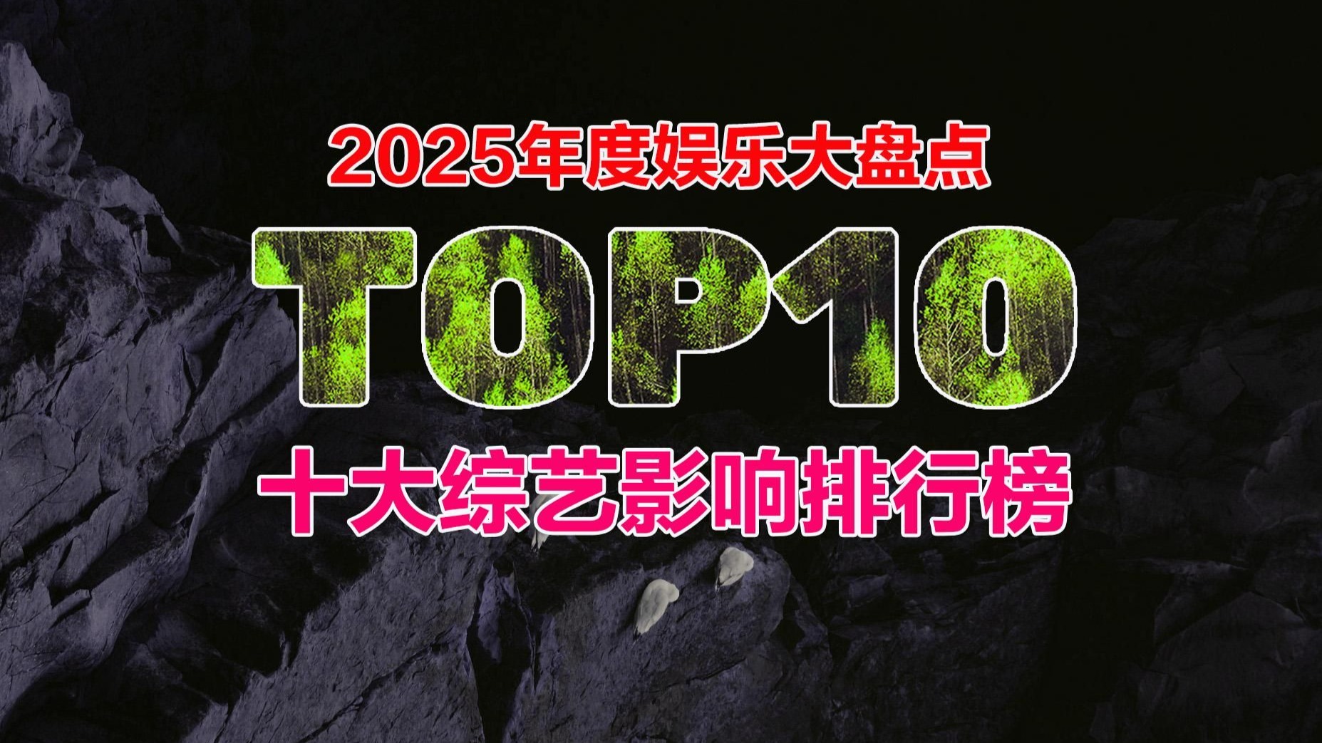 2025年度十大最具影响力的综艺作品：TOP综艺大盘点