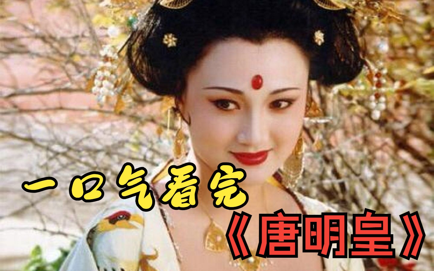 爆肝134分钟！！一口气看完《唐明皇》全剧精彩解说，李隆基与杨玉环的坎坷爱情故事！！