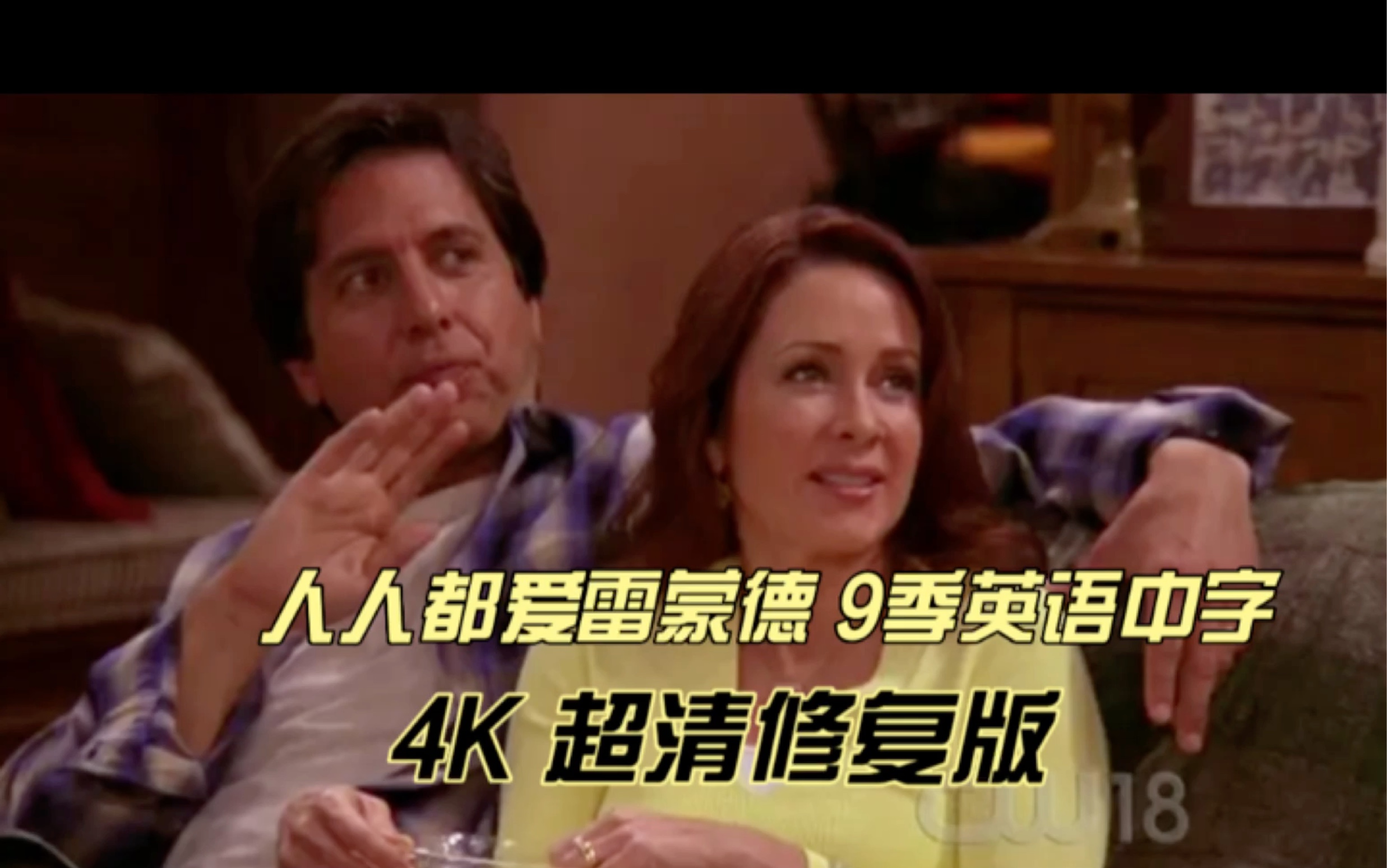 【4K超清修复】人人都爱雷蒙德 1-9季英语中字 4K超清修复版