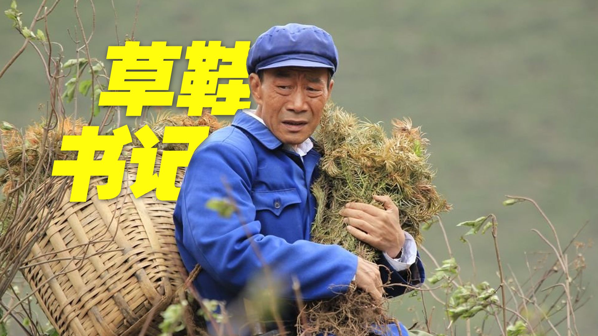 这样的书记我们需要一沓！草鞋书记，人民群众的理想型书记！ #杨善洲 #杨善洲精神 #李雪健 #人民公仆