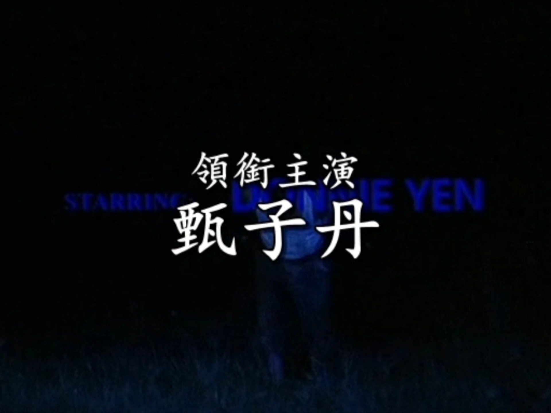 甄子丹1995年的电影 YZ警察