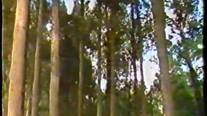 疯狂的海盗 1990年