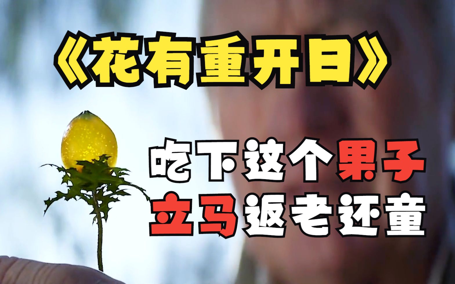 返老还童后 你会做什么疯狂的事呢 一口气看完《花有重开日》