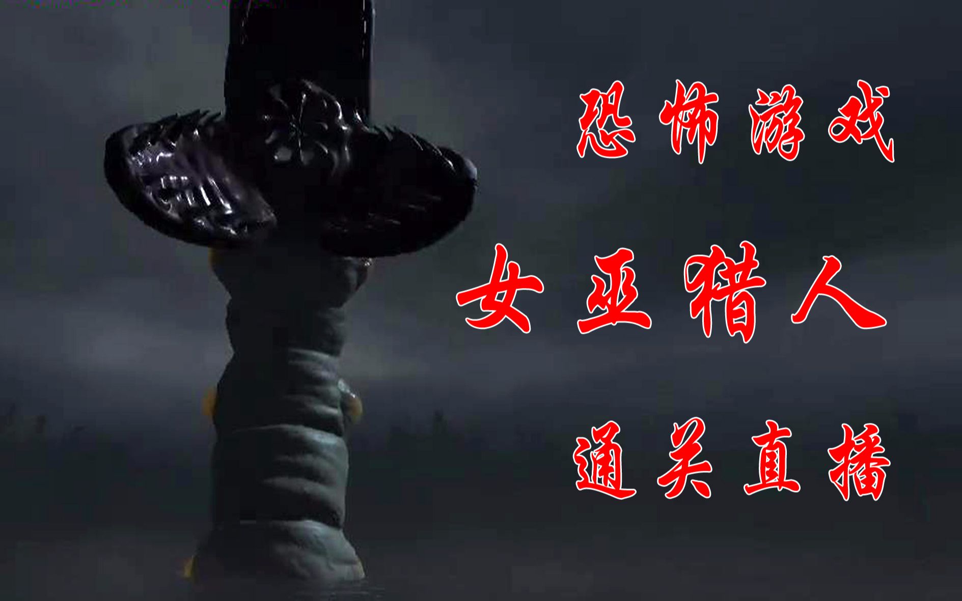 女巫猎人 直播 全通关（游戏不错！值得一玩！不过你的有足够的耐心~嘿嘿）