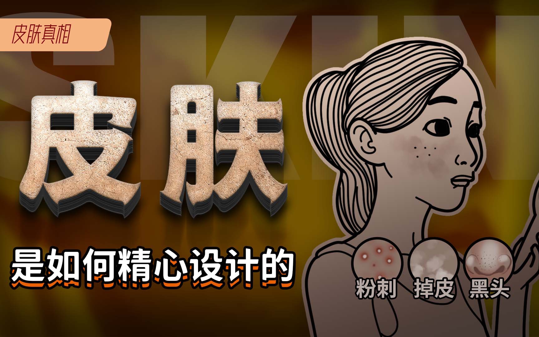 你的皮肤是如何精心设计的？它为何是人体最大的器官？【皮肤真相】