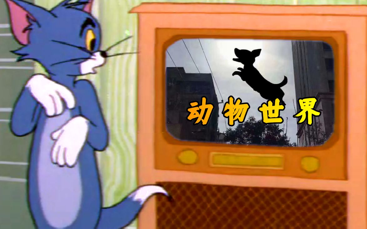 “欢迎收看，动物世界”