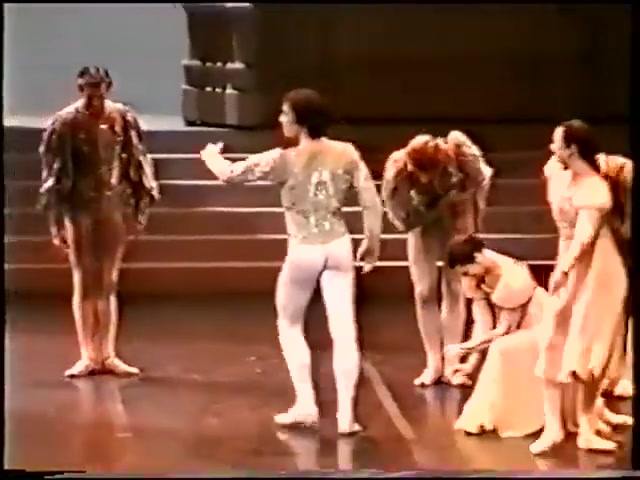 巴黎歌剧院芭蕾舞团 天鹅湖 全剧 Sylvie Guillem和Nicolas le Riche