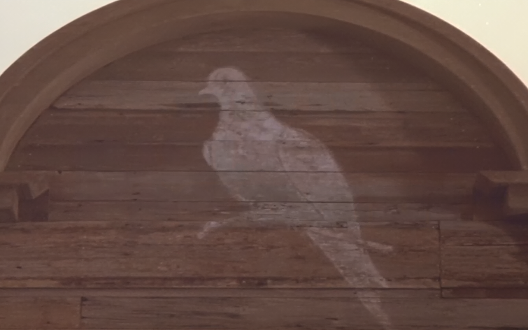 【西部】Lonesome Dove 孤鸽镇 01