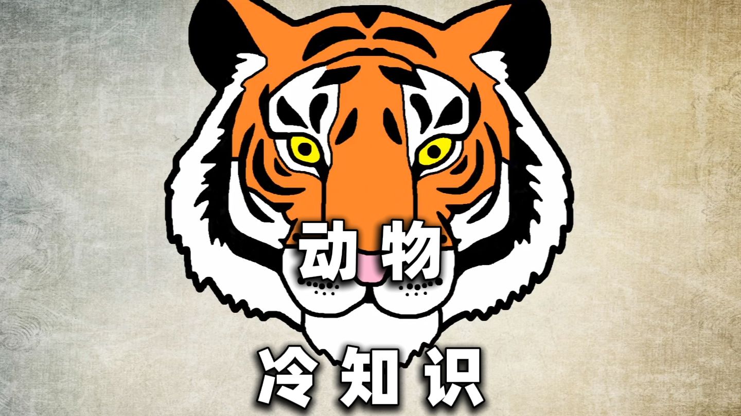 有趣的动物知识