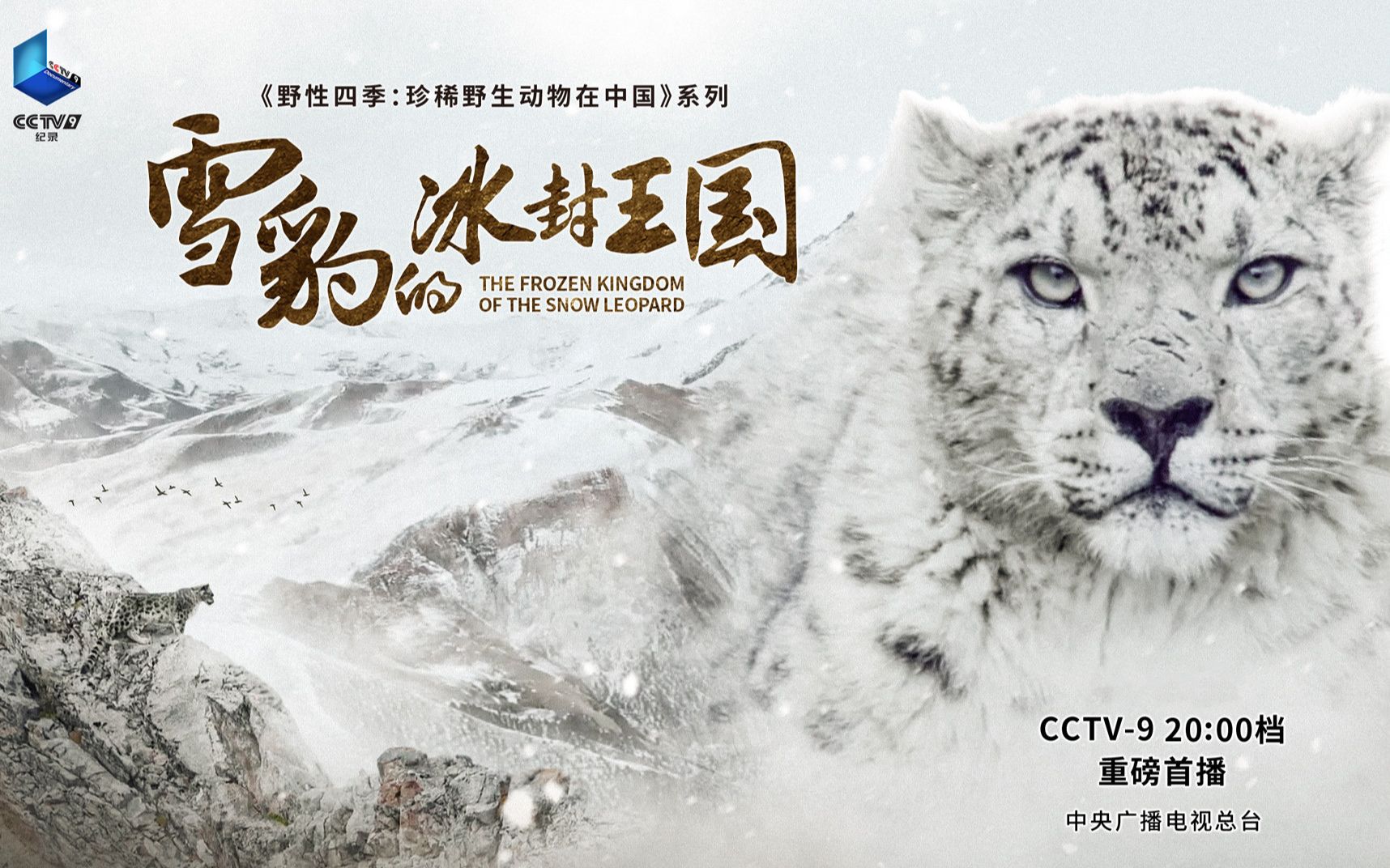 雪豹的冰封王国 The Frozen Kingdom of The Snow Leopard