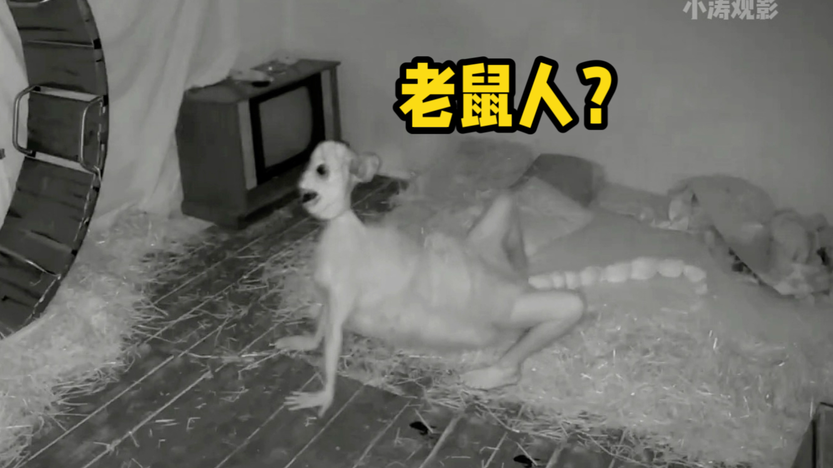 驱魔兄弟之老鼠人