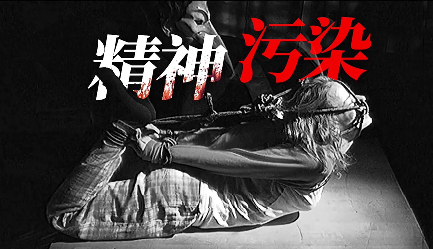 截肢调教 精神污染 连环杀手录下2400小时虐杀视频 伪记录恐怖片《波基普西录像带》