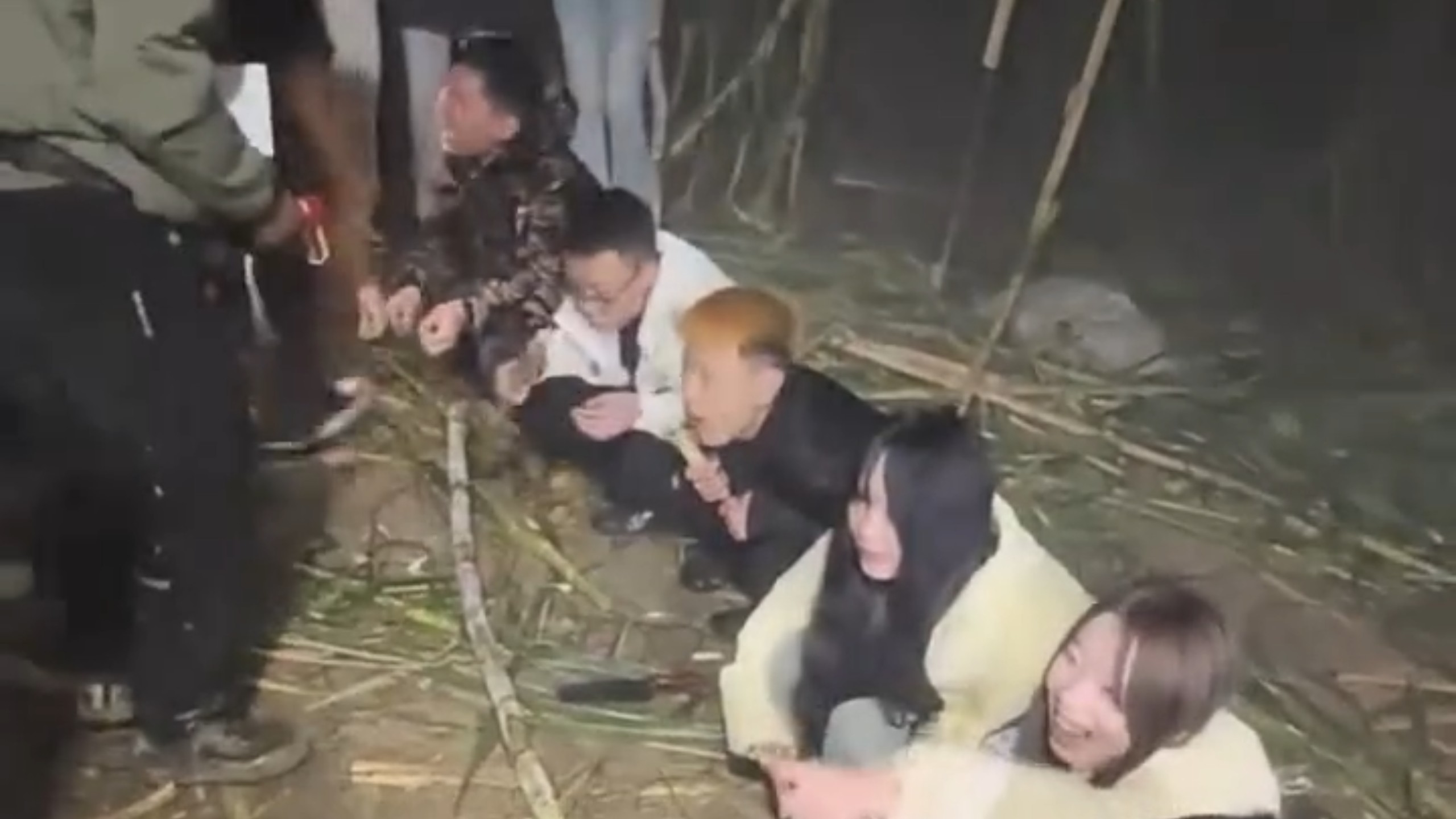你说请我吃甘蔗我可能没兴趣，但要是偷甘蔗，我扛着火车都能来！盘点被网友追着喂饭的六大幸运商家！