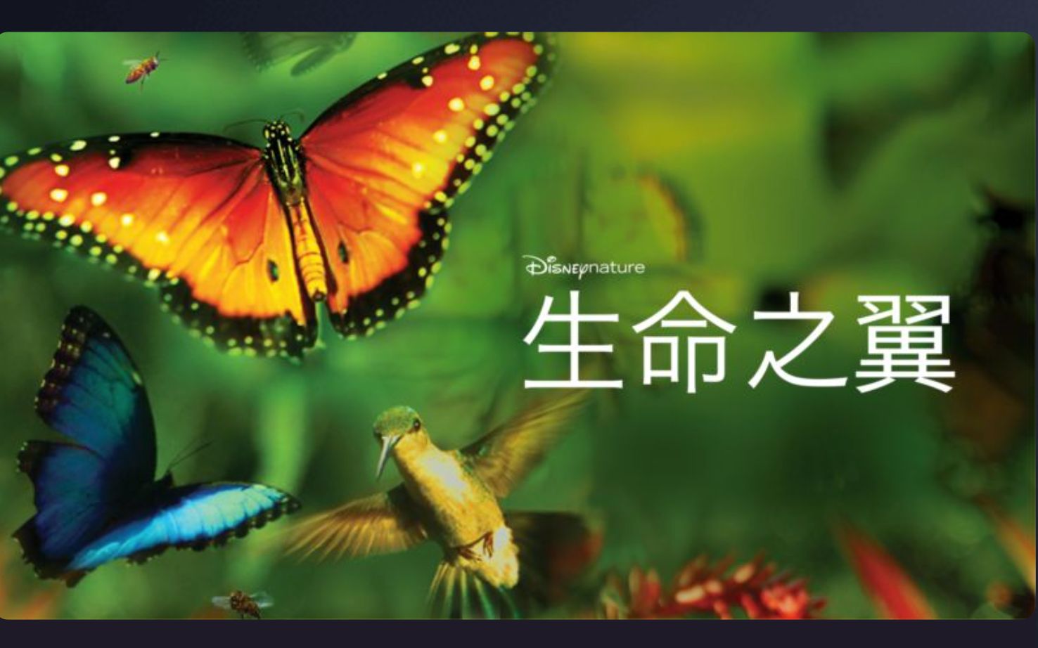 生命之翼 Wings of Life