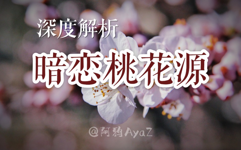 万字长评｜深度解读《暗恋桃花源》：剧场篇