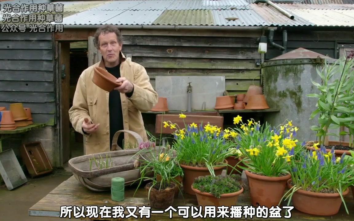 BBC园艺世界S51E06.中字.@光合作用种草菌
