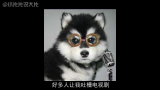 随便聊聊《花千骨》【小片片说大片031】
