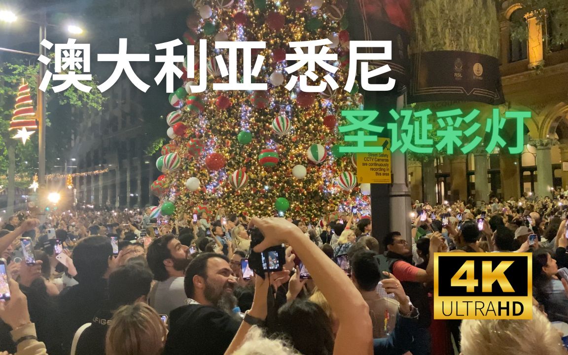 【4K Walk】澳大利亚悉尼-马丁广场上的彩灯圣诞树｜Australia Sydney 2022