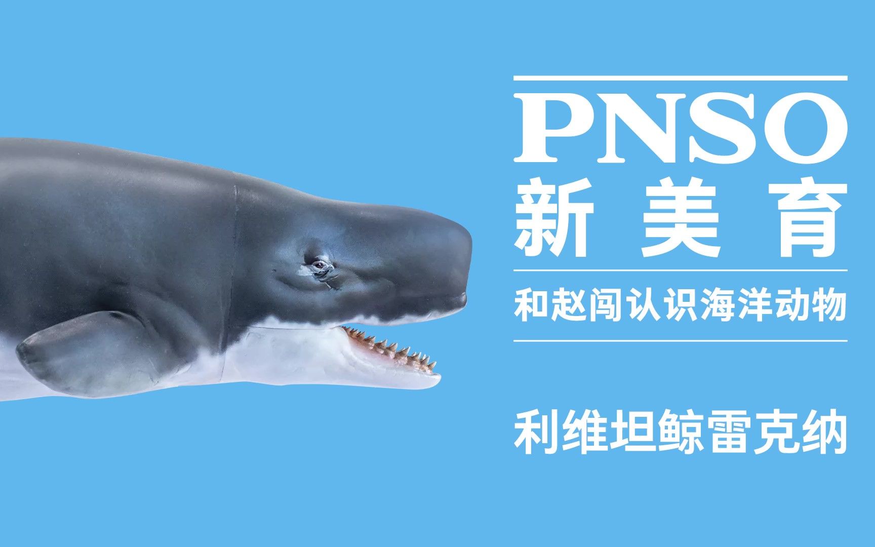 和赵闯认识海洋动物：利维坦鲸雷克纳