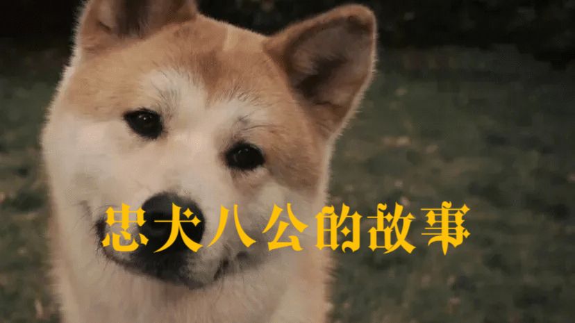 《忠犬八公（2009）》4K超清修复完整未删减版