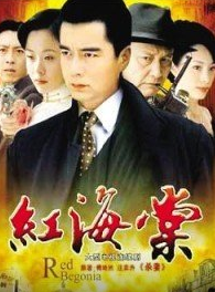 【国产】红海棠 27集全【2008】