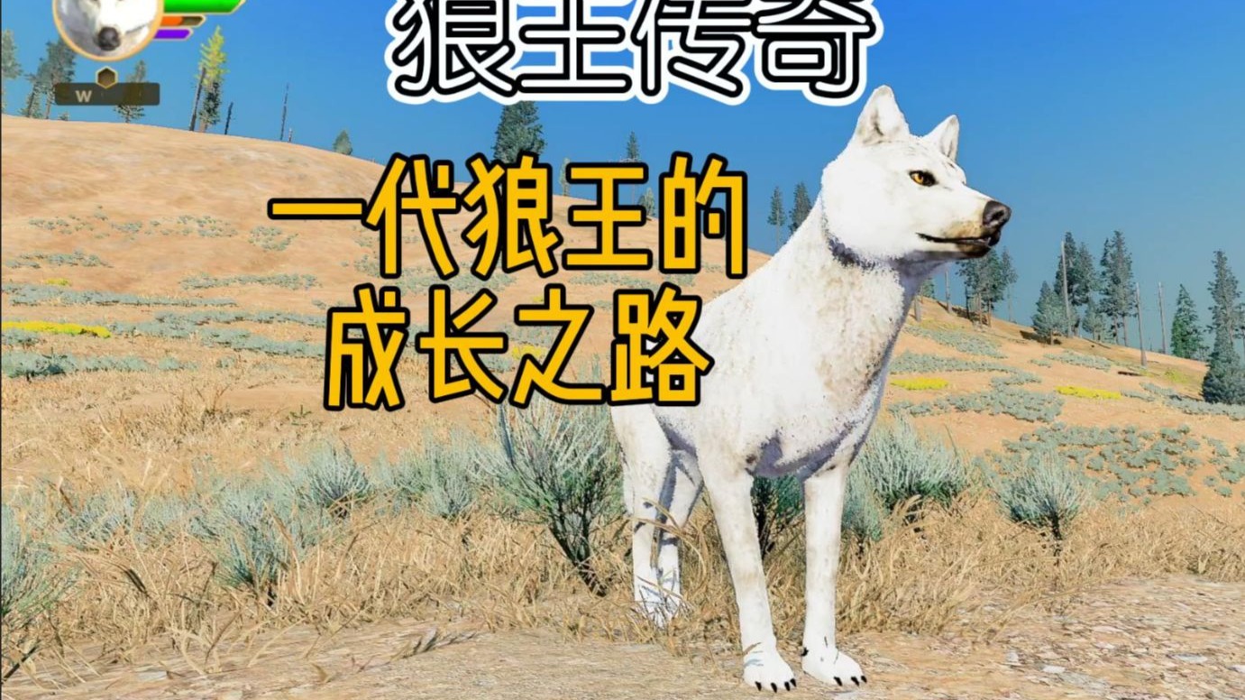 【狼王传奇】一代狼王的成长故事。超长游戏故事，一口气看完。持续更新中~