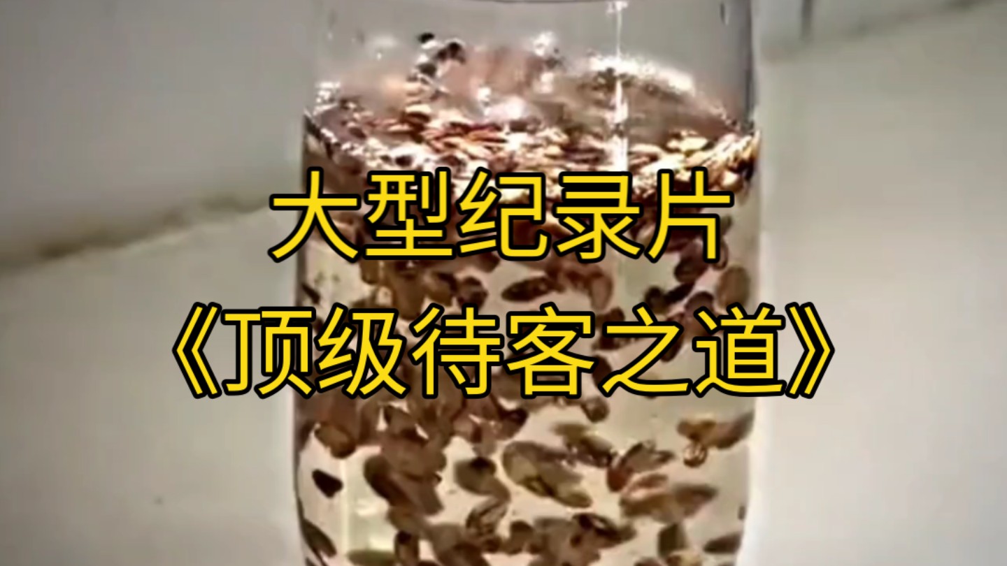 大型纪录片《顶级待客之道》持续为您播出！