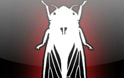 【冥王实况剧场】黑暗牧场 Dark meadow【完结】