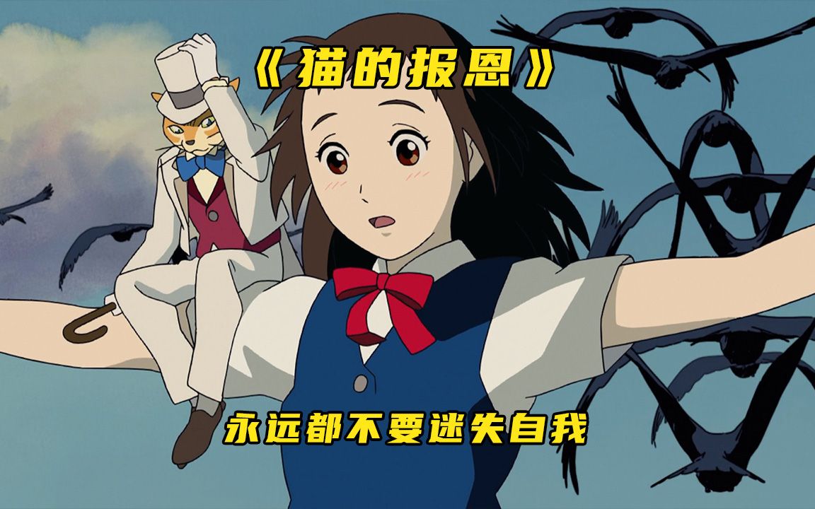 《猫的报恩》：女孩救下一只会说话的猫，结果误打误撞进入猫王国，还差点成了猫新娘