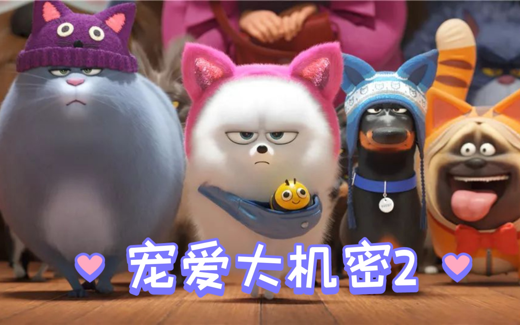 一口气看完《宠爱大机密2》爱宠大作战！