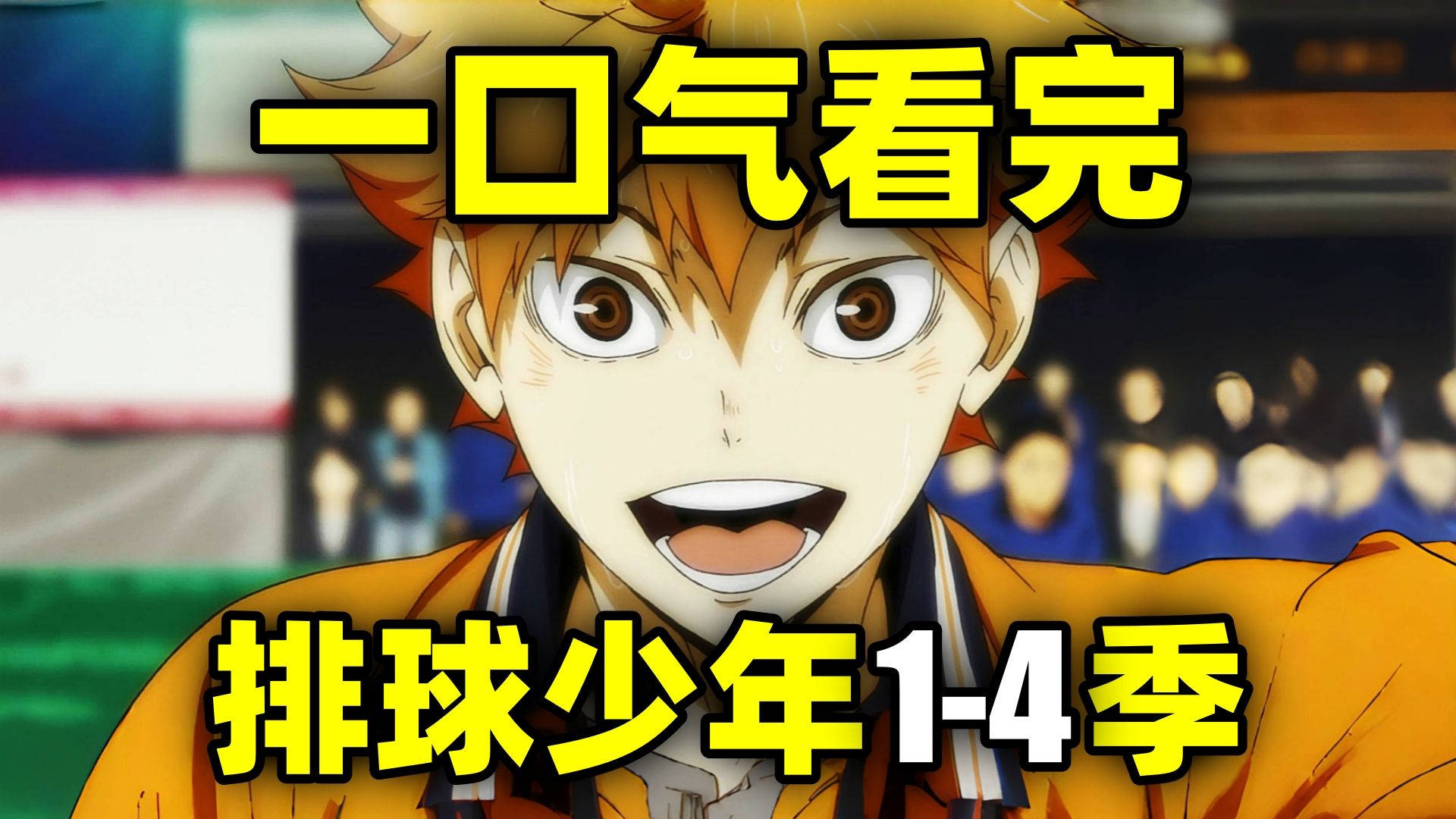 一口气看完，排球少年1-4季！燃爆！教练，我想打排球！
