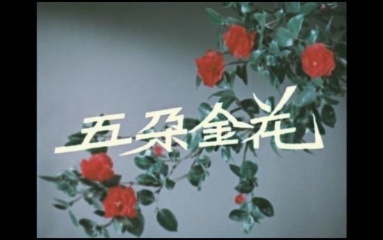 经典老电影系列  五朵金花 1959年 长春电影制片厂出品，王家乙执导 杨丽坤、王苏娅、朱一锦、谭尧中等人主演 歌舞电影