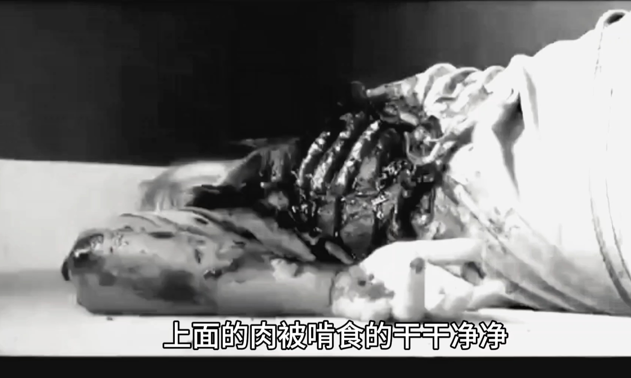 丧尸女咬下男性阿坤，美国地下作坊拍摄的地下重口丧尸电影《Bloody》