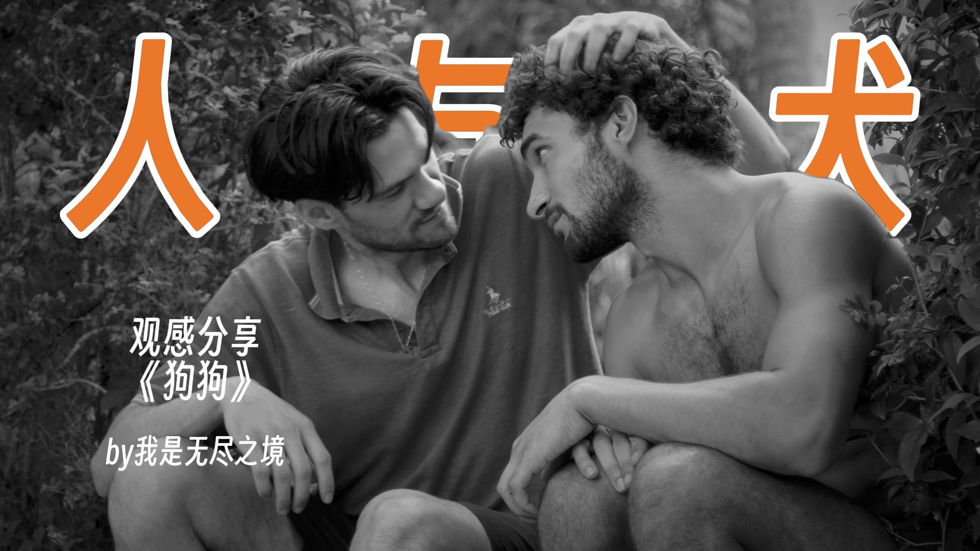 人变狗，狗爱人，马可伯格新作《狗狗》好看吗？【速阅导览】