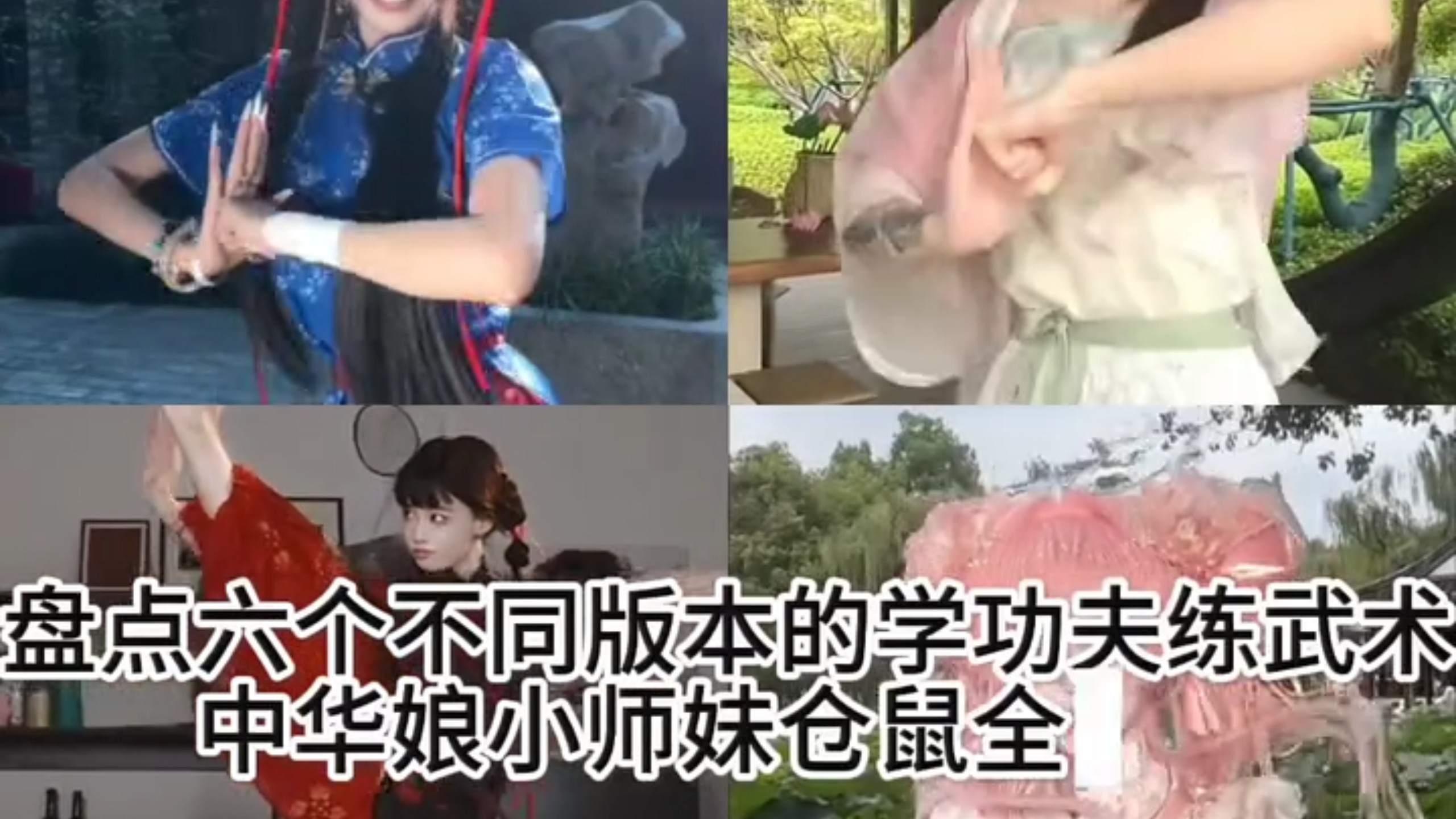 学功夫练武术六个版本直接集齐！