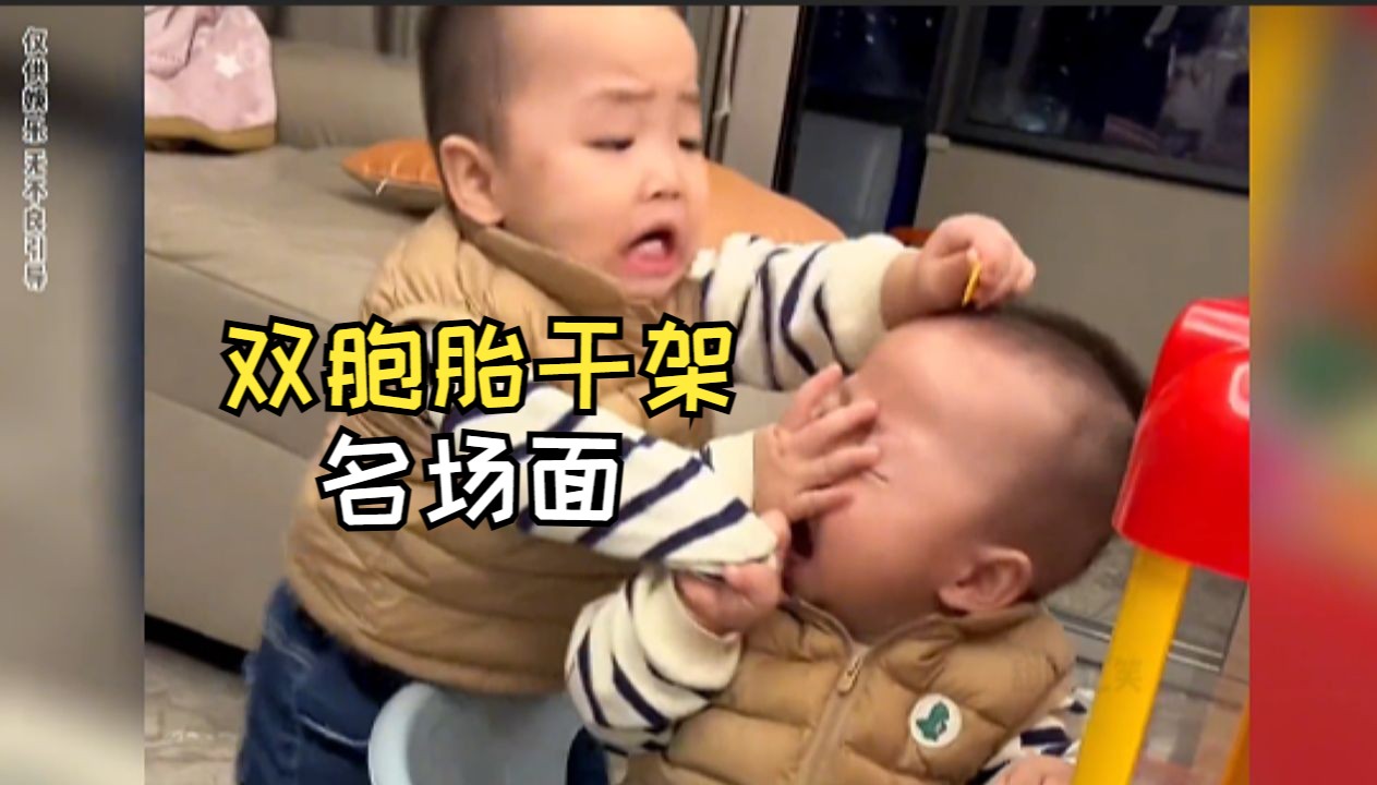 “本是同根生，相煎何太急”