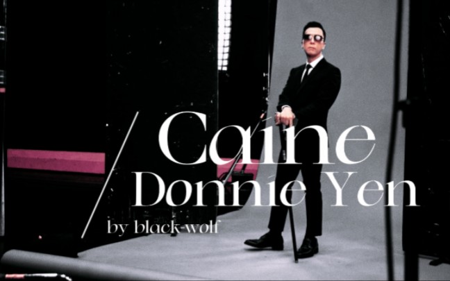 Caine by Donnie Yen