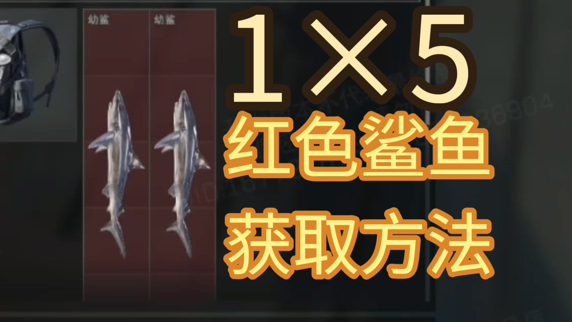 三角洲钓鱼系统，能钓出哪些红色的鱼，5格鲨鱼都能够钓！