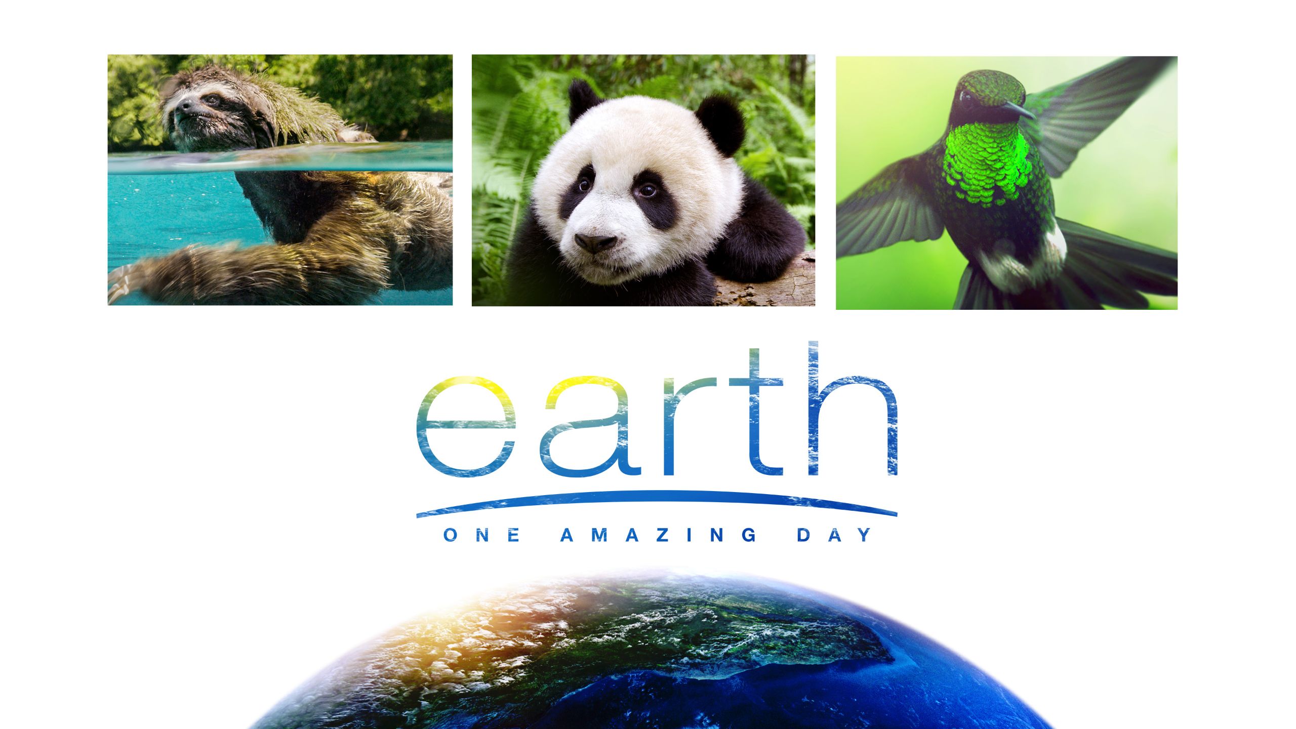 地球：神奇的一天 Earth：One Amazing Day