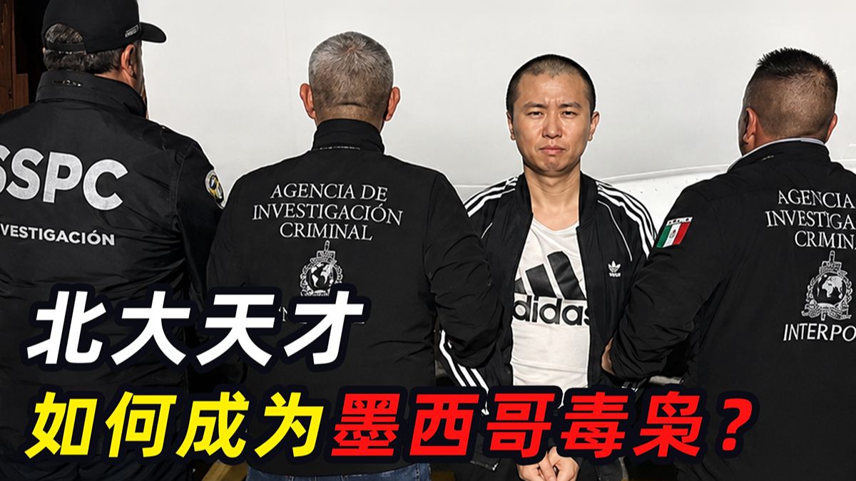 北大学霸变身墨西哥大毒枭，打造美国丧尸一条街，张智栋的疯狂发家史