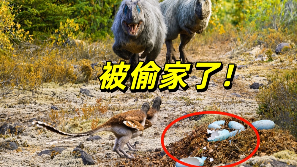 【地球·劫后重生】看点3-2：出门一趟，娃被偷吃了！白熊龙夫妇当场崩溃！