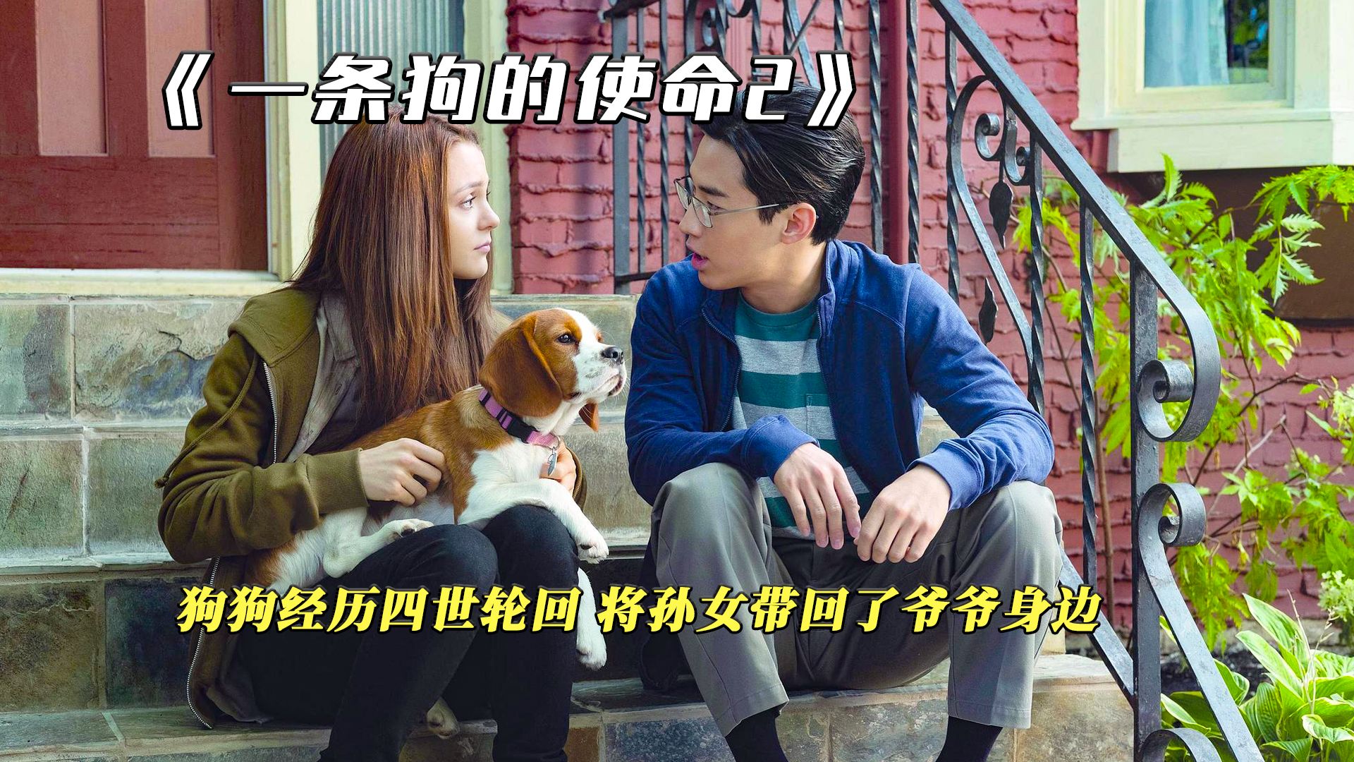 一条狗的使命2