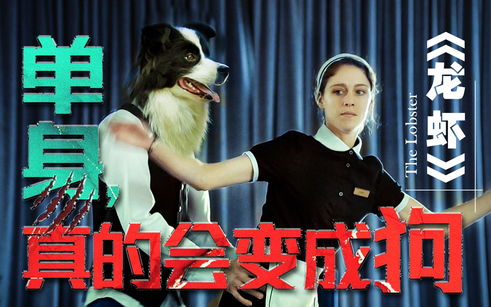单身有大罪！直接分尸缝缝补补变成狗，奥斯卡提名的电影果然黑暗 | 《龙虾》