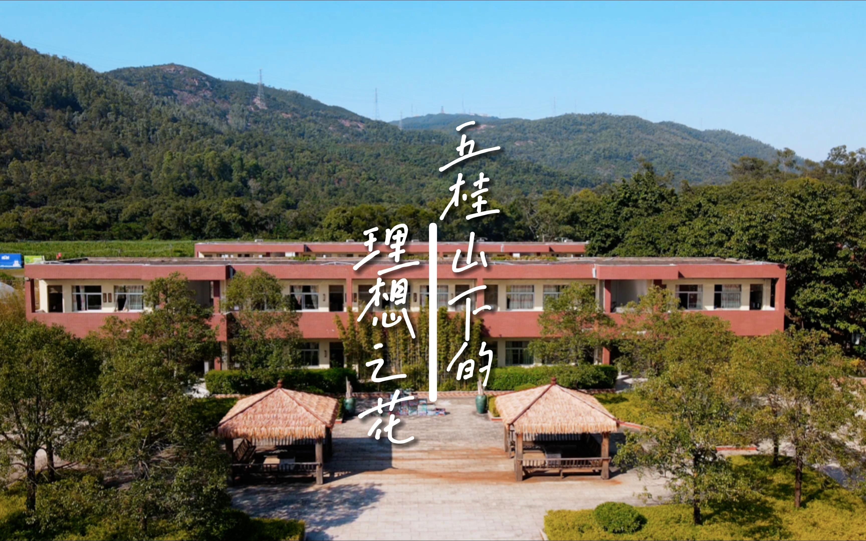在中山市五桂山脚下，有一所被山野自然环抱的学校——桂南学校。