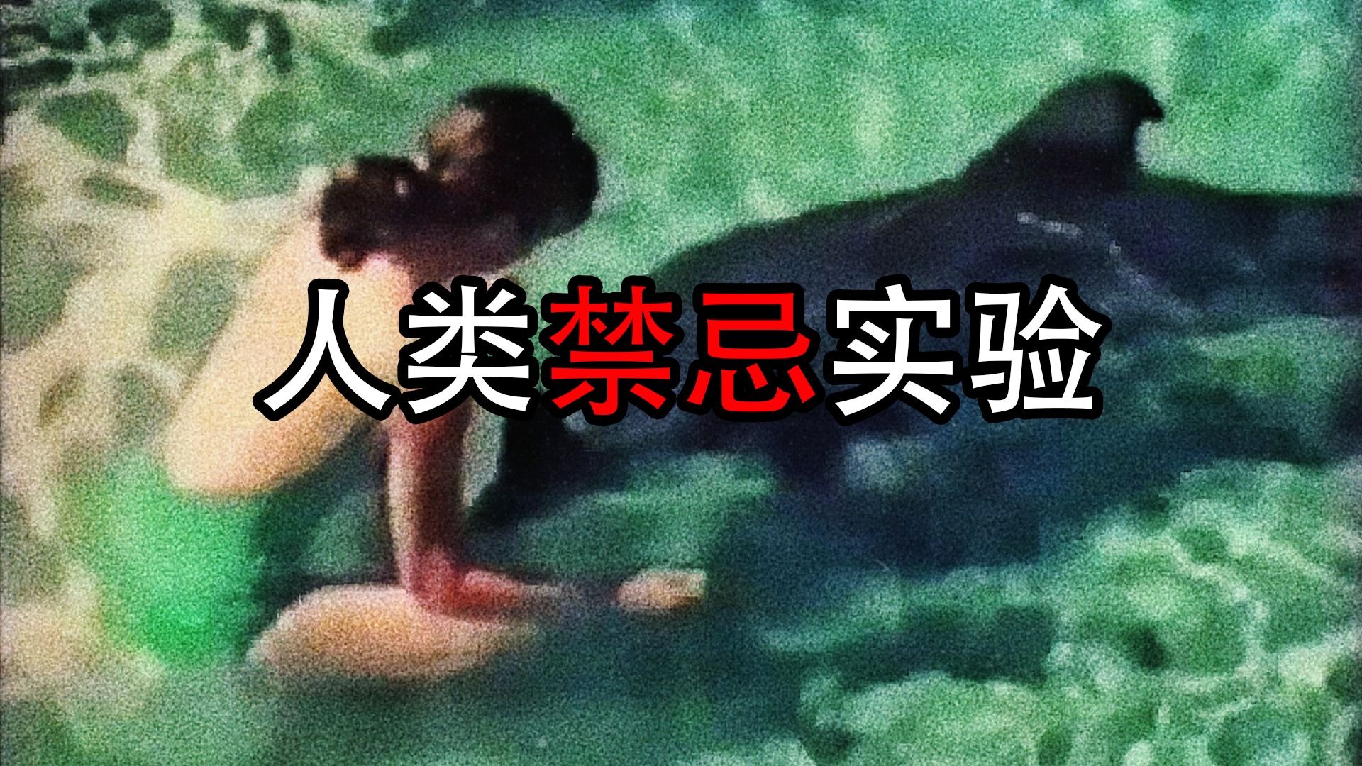 揭秘人类禁忌实验，跨越物种的爱情？1960海豚馆实验！