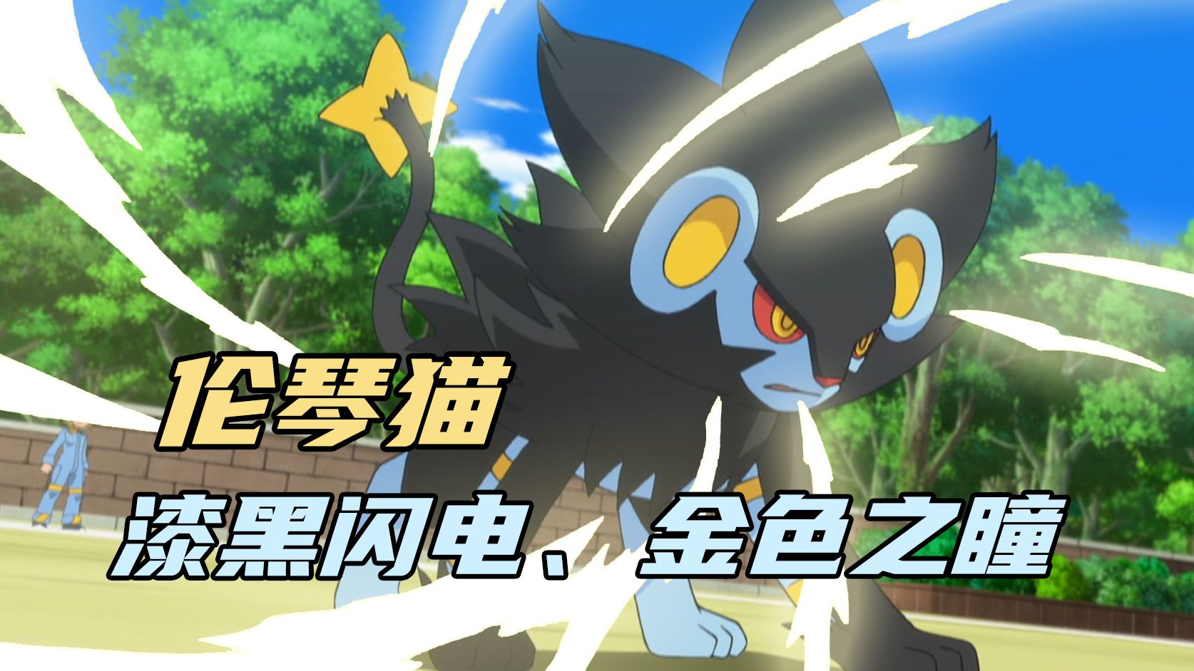 【走近宝可梦#46】伦琴猫：漆黑闪电、金色之瞳！看穿世间万物的王者！
