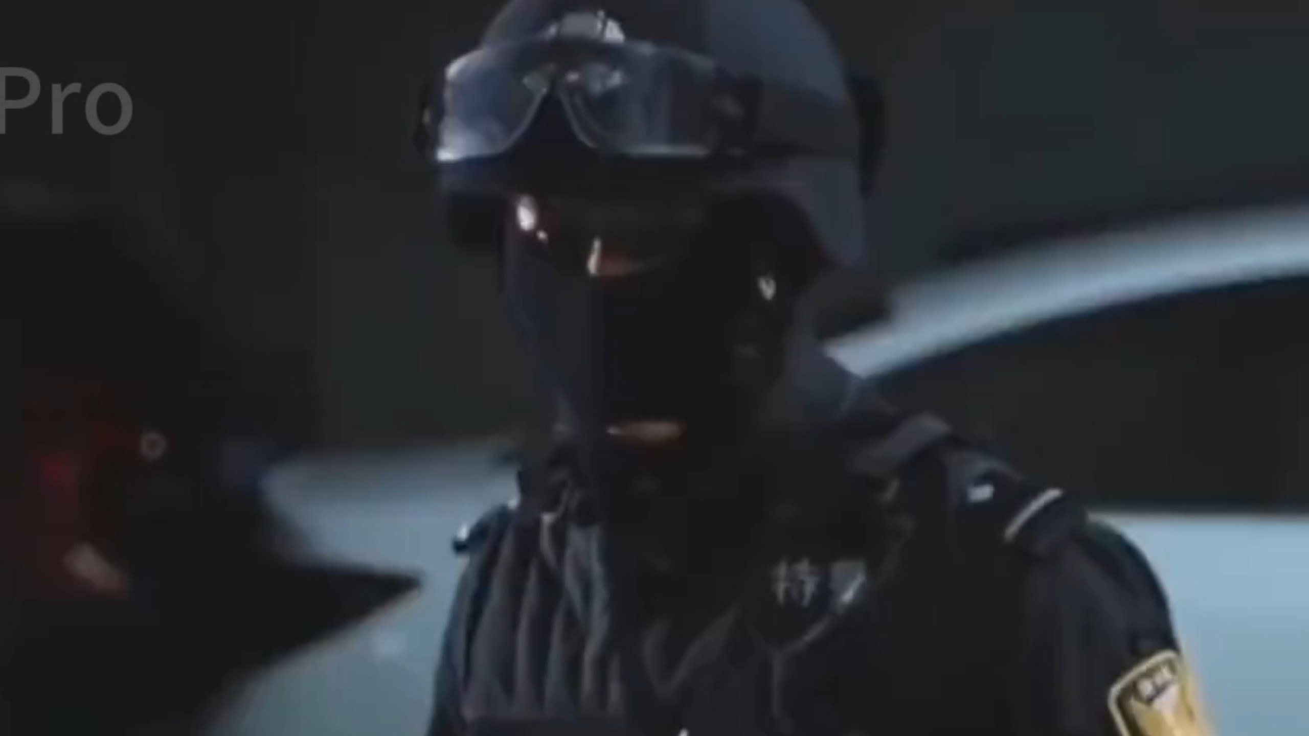 特警不敌歹徒