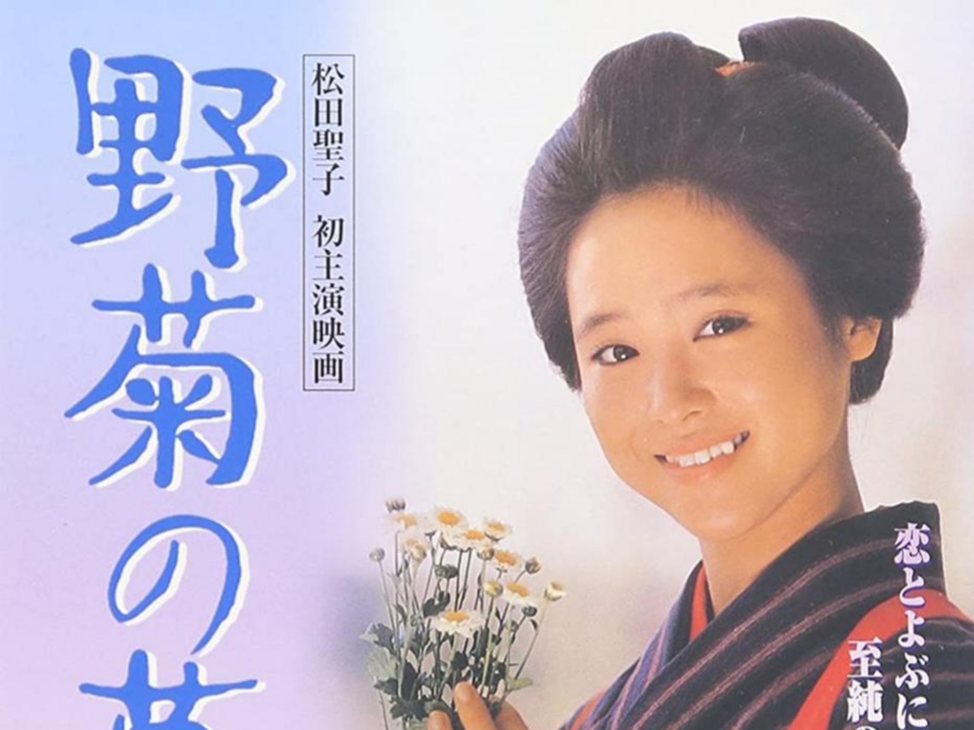 【中字】【松田圣子主演】野菊の墓 (1981)